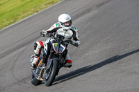 PJ-Motorsport-2019;anglesey-no-limits-trackday;anglesey-photographs;anglesey-trackday-photographs;enduro-digital-images;event-digital-images;eventdigitalimages;no-limits-trackdays;peter-wileman-photography;racing-digital-images;trac-mon;trackday-digital-images;trackday-photos;ty-croes